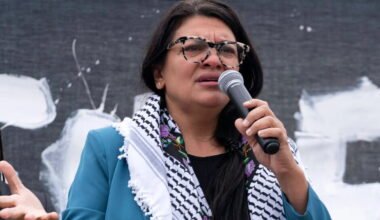 fayez tlaib